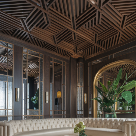 Expanded Ceiling Designs