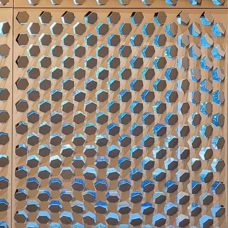 Suhana Eye Hospital | Coin Facade