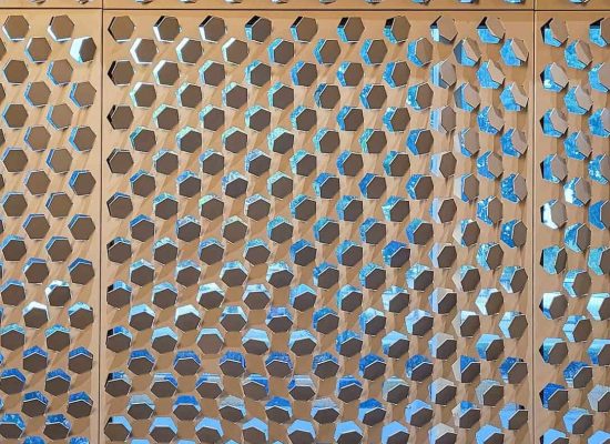 Suhana Eye Hospital | Coin Facade
