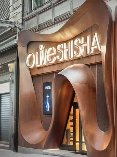 SOGA_Facade_Interactive (1)_1