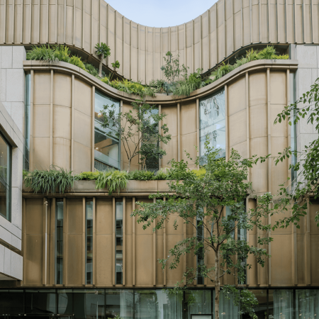 SOGA_Facade_Interactive (1)_1