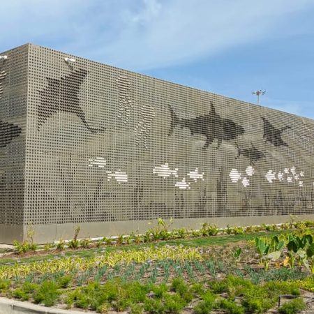 WhatsApp Image 2024-04-05 at 11.25.43 AM